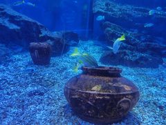 -海合安武汉极地海洋公园