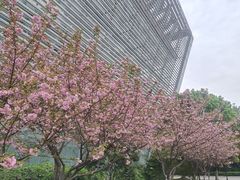 -苏州青少年科技馆