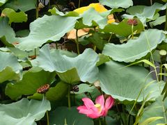 -上海市保健医疗中心