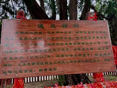 -四门塔风景区