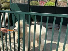 -青岛鑫江温德姆酒店