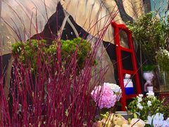 -花到家(富贵鸟花艺行)