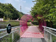 -佛山华盖山公园
