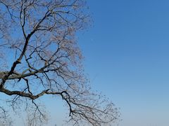 -苏州上方山国家森林公园