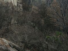 -崂山巨峰游览区
