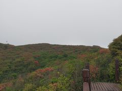 -大围山国家森林公园