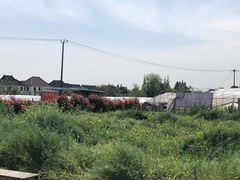 -小鱼草莓采摘园农家乐·小鱼餐厅