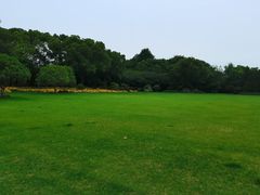 -渤公岛生态公园