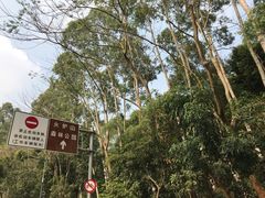 -火炉山森林公园