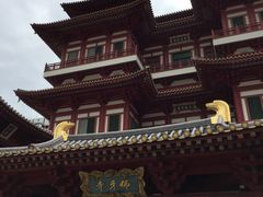 -新加坡佛牙寺龙华院
