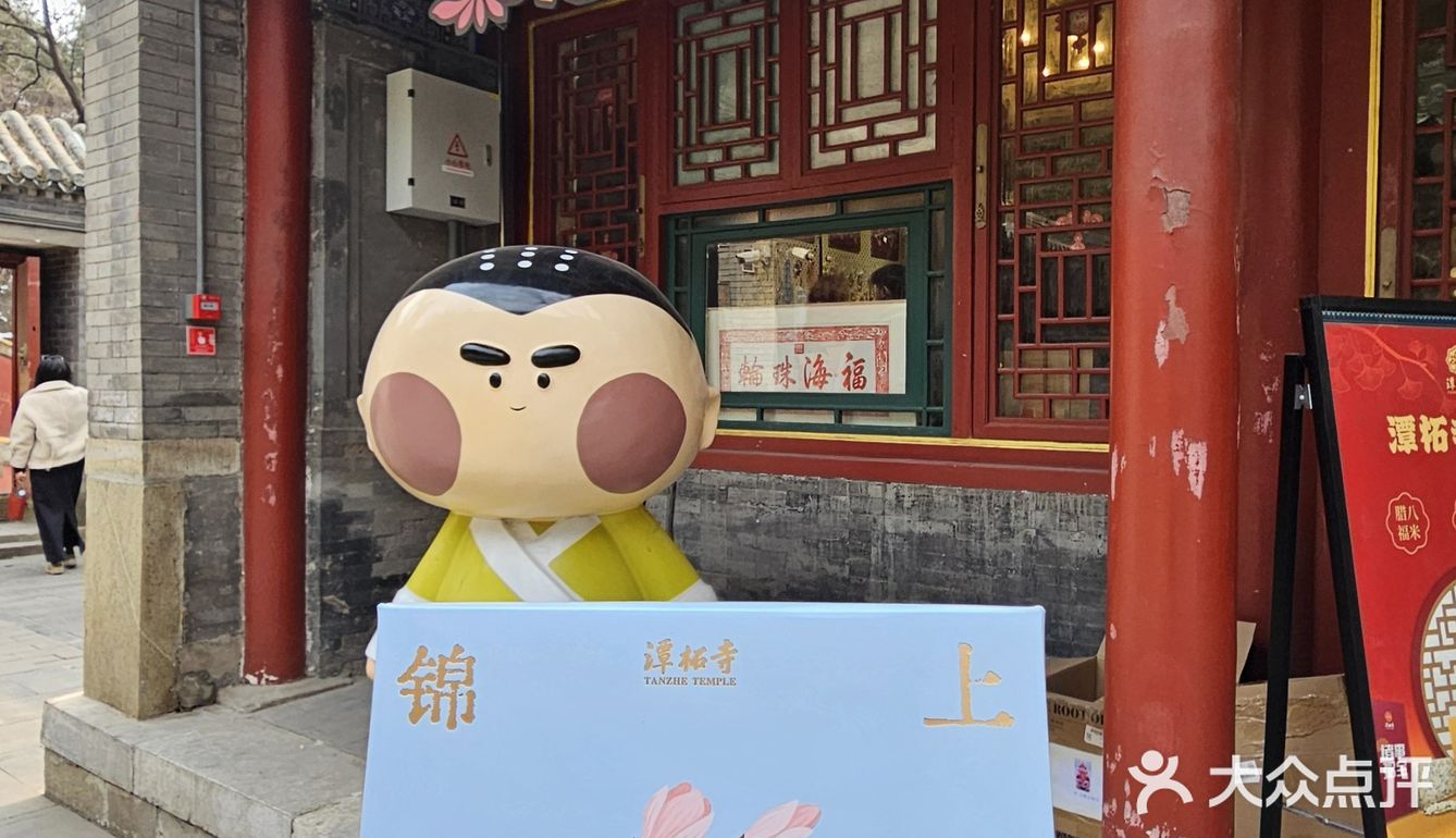 这么佛系的炸酱面，吃完浑身充满灵气儿，素斋界顶流！