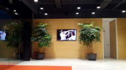 点击看大图 android_upload_pic-CARR SALON