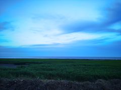 -南汇嘴观海公园