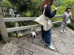 -刘伯温故里景区百丈漈