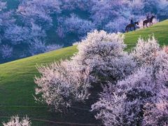 -新疆那拉提国家旅游度假区