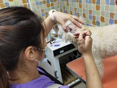 -宠颐生猫科·内科皮肤科(西平世纪城店)