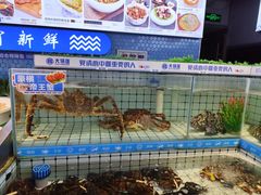 -大锅强·蒸海鲜青岛菜(金沙滩店)