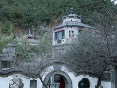 -老张烤羊(王哥庄店)