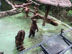 -深圳野生动物园