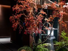 -椿杨樘·明康泡浴养生馆(重庆店)