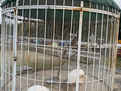 -宁波九龙湖开元度假村