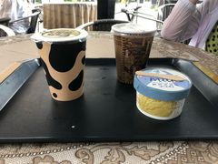-瑞穗牧场