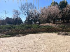 -北京西山国家森林公园