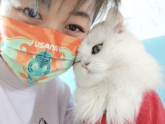 -猫在这儿猫咪咖啡馆·撸猫馆