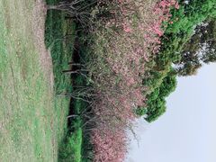 -石湖景区