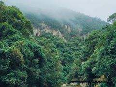 -永泰中国云顶