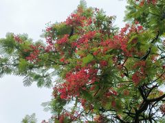 -晓港公园