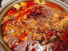 -师烤·豆花烤鱼(广州荔湾扬韬广场店)
