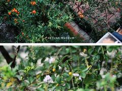 -东莞市可园博物馆