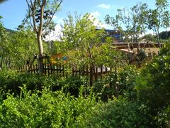 -杭州开元森泊度假乐园