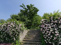 -杏花村文化旅游区