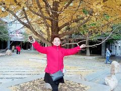-辽宁大学(崇山校区)