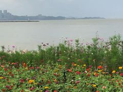 -野狸岛