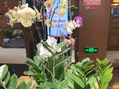 -黔蘑菇四季餐厅(观山湖店)