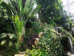 -郑州植物园