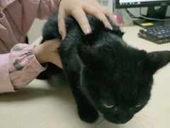 -宠颐生宠物医院外科·内科·皮肤科·影像科(石龙店)