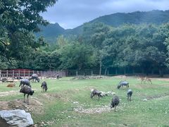 -西安秦岭野生动物园