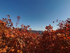 -周口店坡峰岭风景区