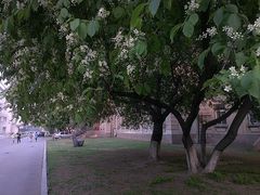 -辽宁大学(崇山校区)