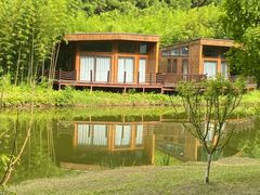 -黄海国家森林公园