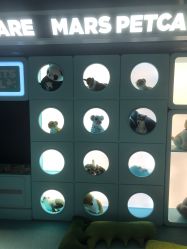 -MINI MARS KIDS CLUB亲子家庭中心(长宁天山店)