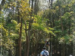 -浏阳石牛寨风景区