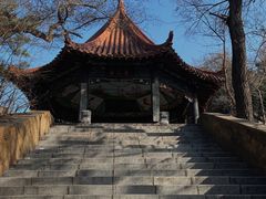 -望溪公园