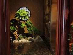 -金指缘足浴(望园路旗舰店)
