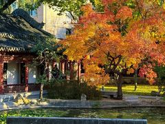 -碑林公园