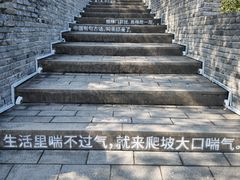 -黄贤森林公园